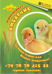 Продаю  цыплят  бройлера  суточных  (Венгрия) .Купить цыплят в Крыму.