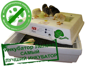 Инкубаторы для яиц птиц или рептилий